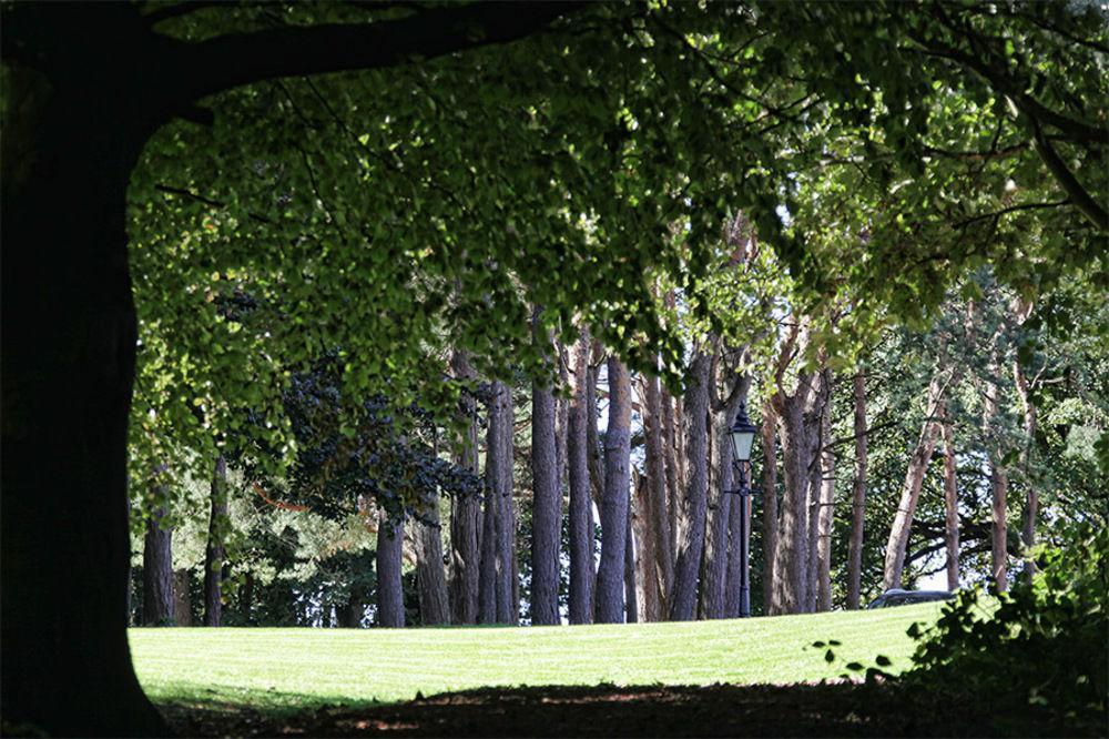 Abbey House Hotel
